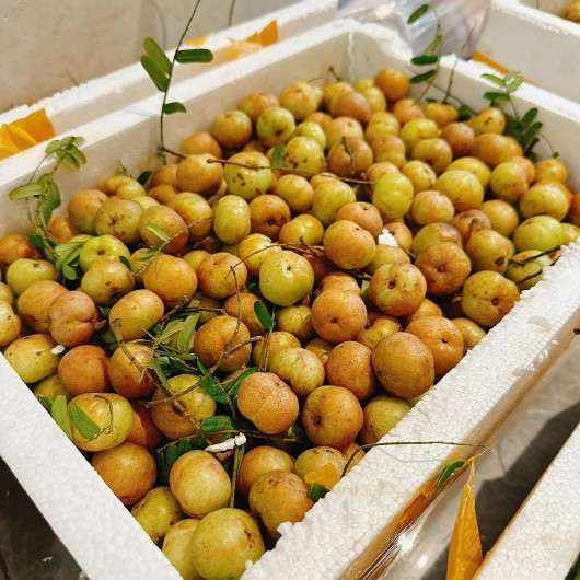 Mắc kham giá 80.000 đồng/kg vẫn đắt hàng, xuất khẩu 3 loại rau thu về 90 triệu USD