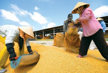 Năm 2023, tăng trưởng GDP toàn ngành nông nghiệp ước đạt 3,83%