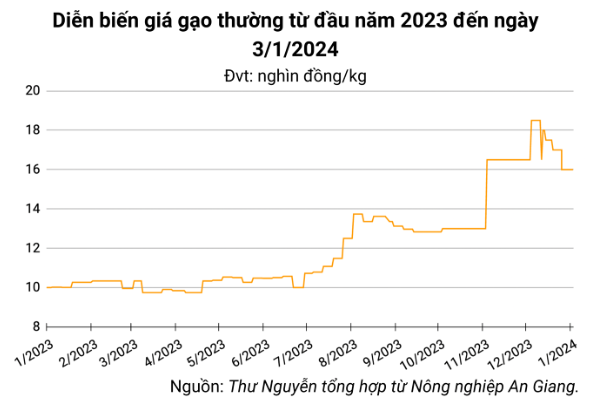 Giá lúa gạo hôm nay ngày 3/1: Giá lúa IR 504 giảm nhẹ, lúa Đông Xuân được hỏi mua nhiều