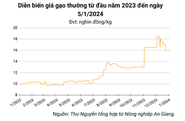 Giá lúa gạo hôm nay ngày 5/1: Lúa gạo ổn định, nông dân chào giá lúa Đông Xuân cao