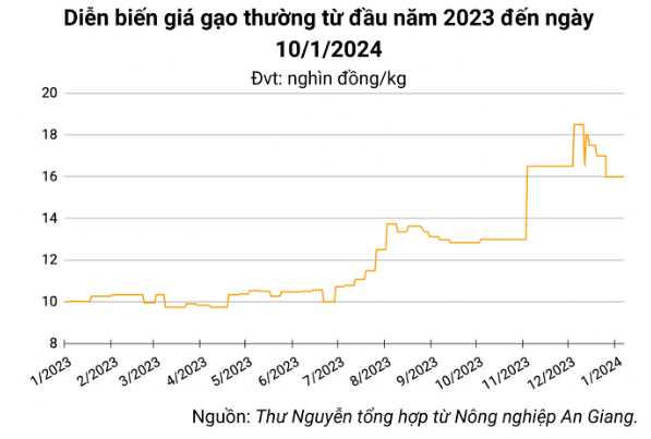 Giá lúa gạo hôm nay ngày 10/1: Tiếp tục xu hướng tăng với lúa gần ngày cắt