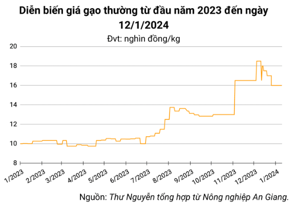 Giá lúa gạo hôm nay ngày 12/1: Giá gạo giảm, giá lúa vẫn neo cao