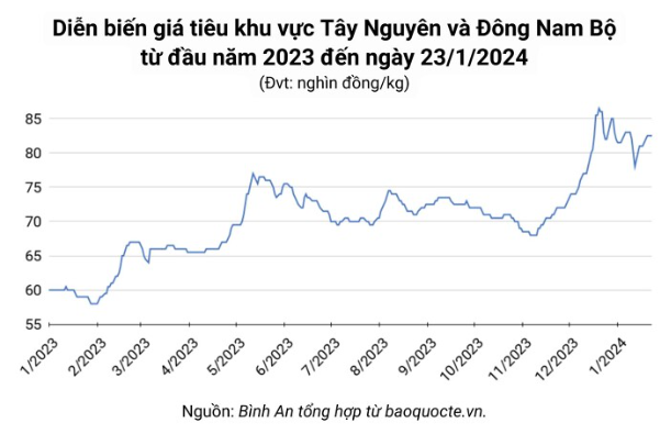 Giá nông sản ngày 23/1/2024: Cà phê tăng mạnh, hồ tiêu cao nhất 82.500 đồng/kg