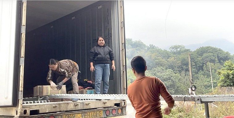 Cán bộ, công nhân Công ty TNHH đầu tư thương mại Tiến Ngân vận chuyển lô mía tươi lên xe chuyên dụng để đưa đi xuất khẩu.
