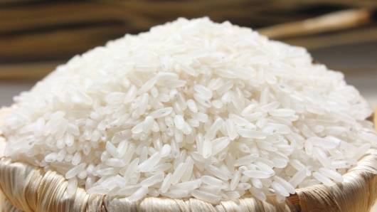 Giá lúa gạo đã quay đầu tăng và được dự báo khó giảm trở lại