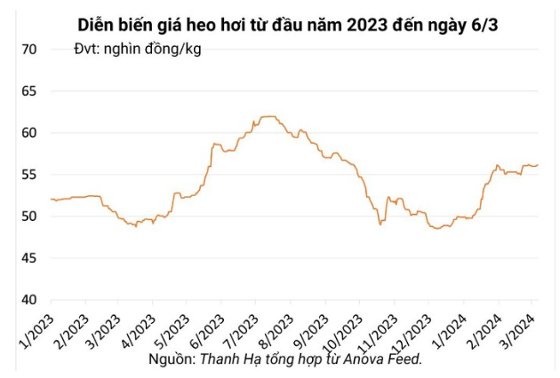 Giá heo hơi hôm nay 6/3/2024: Tăng nhẹ ở khu vực phía Nam