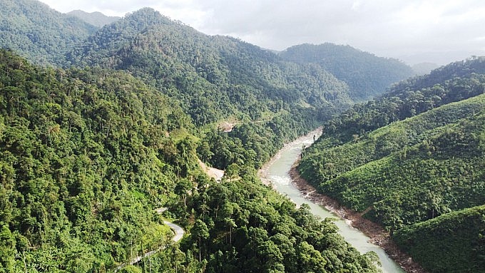 Hiện nay, tín chỉ CO2 rừng của Việt Nam chỉ giao dịch được trên thị trường tự nguyện.