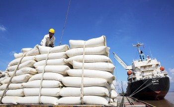 Lần đầu tiên Việt Nam thành nước xuất khẩu gạo lớn nhất vào Singapore