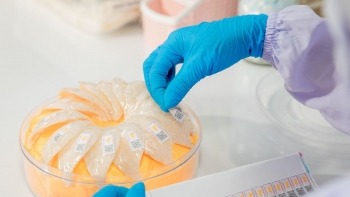 Yến sào xuất khẩu chính ngạch sang thị trường Pháp