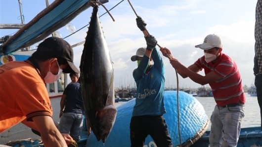 Cạnh tranh gia tăng tại thị trường cá ngừ Trung Đông