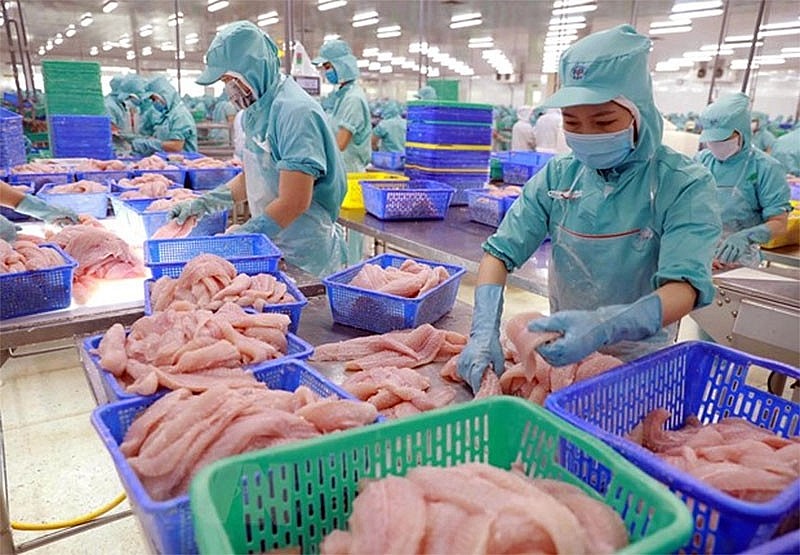 Việt Nam là nguồn cung cá thịt trắng số 1 cho Colombia