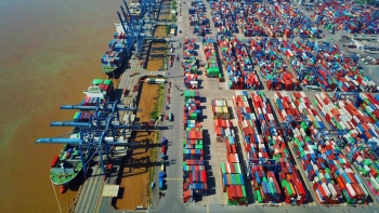 Đề nghị công an vào cuộc vụ 18,5 tấn cà phê, hạt tiêu nghi bị “rút ruột” tại cảng Cát Lái