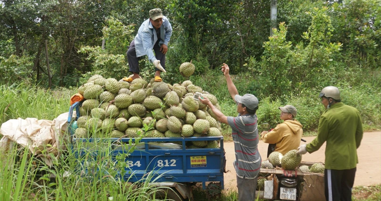 chúng ta không quá áp lực về cạnh tranh với hàng Malaysia.