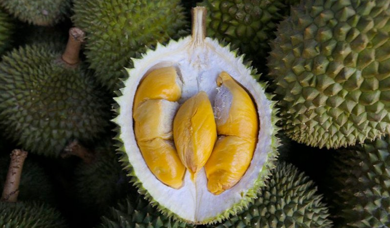 Sầu riêng Musang King là niềm tự hào của Malaysia