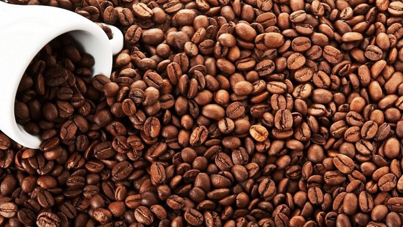 Giá cà phê neo cao có thể là tín hiệu không tốt đối với toàn ngành