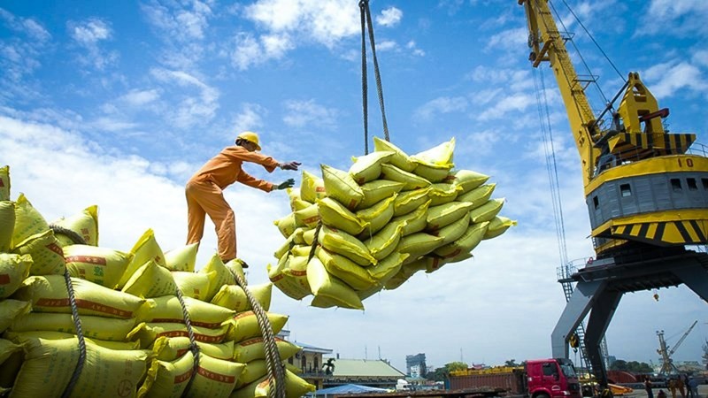 Cơ hội xuất khẩu gạo của Việt Nam từ nay đến cuối năm còn rất lớn