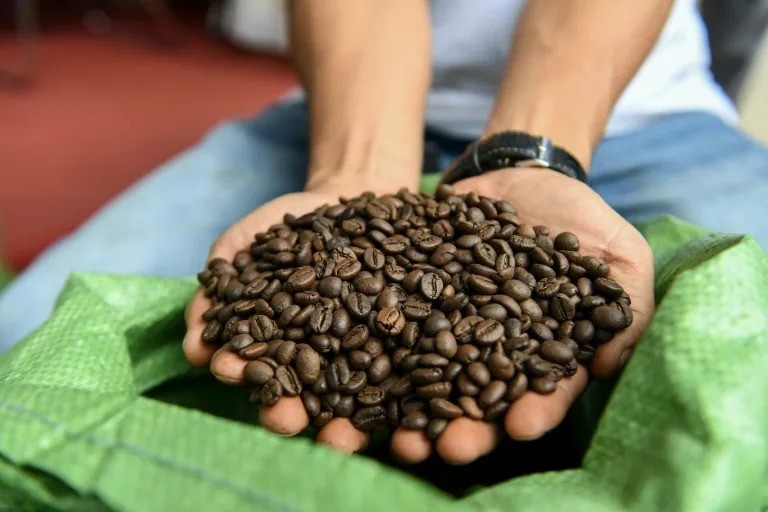 Tại sao giá cà phê Robusta tăng dữ dội?