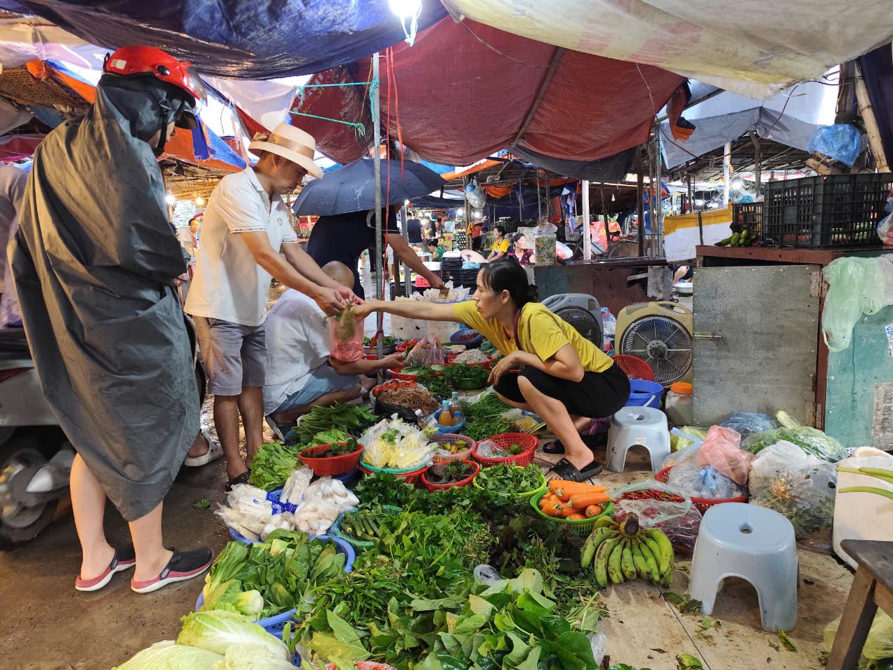 Giá rau xanh tại Hà Nội có thể “hạ nhiệt” sau 20 ngày nữa