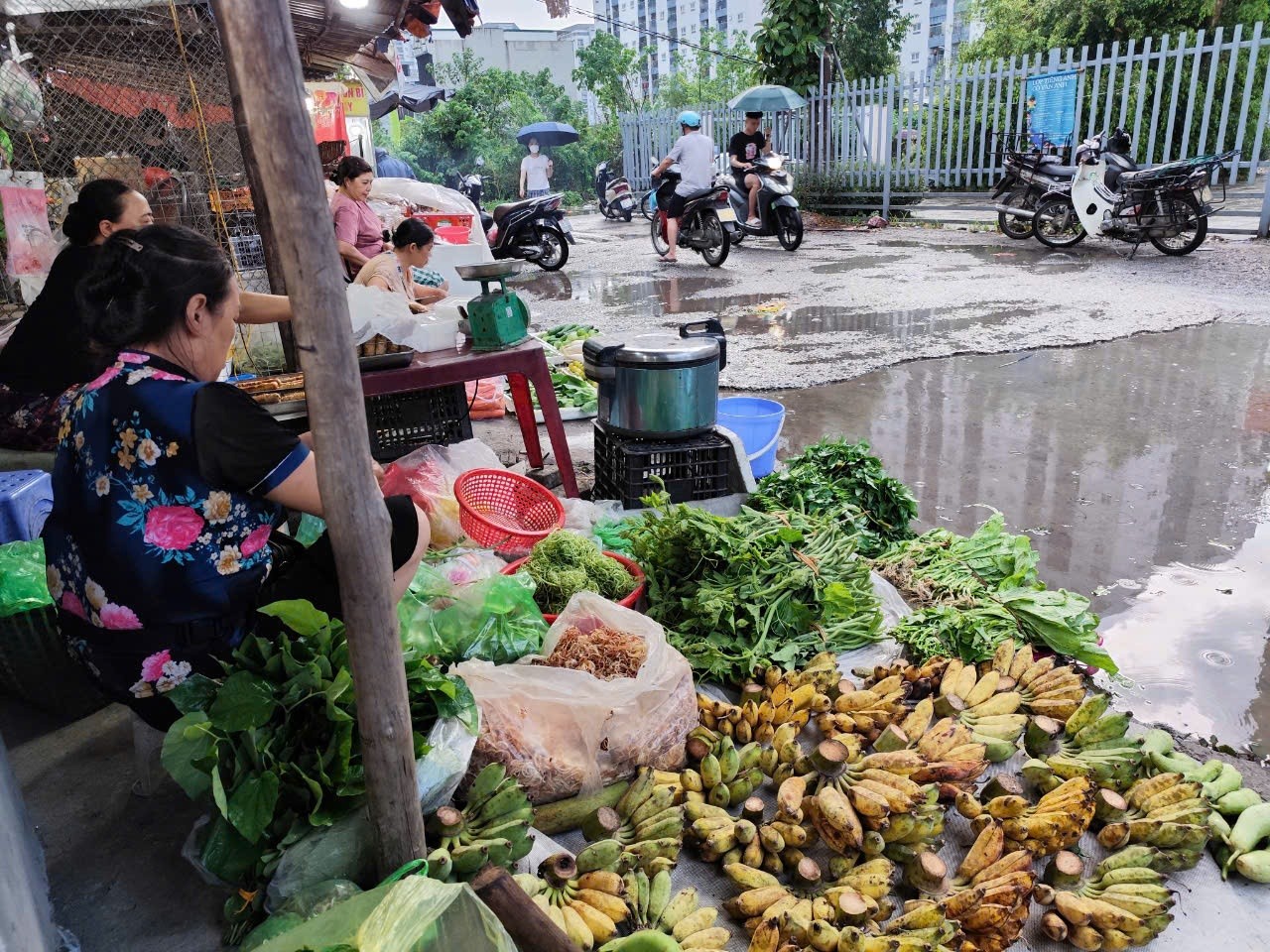 Giá rau xanh tại Hà Nội có thể “hạ nhiệt” sau 20 ngày nữa