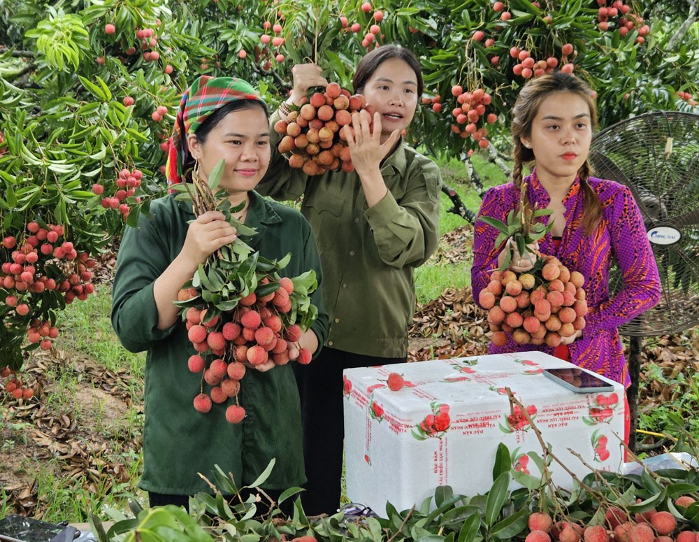 thương mại điện tử Việt Nam đang trải qua giai đoạn phát mạnh mẽ 