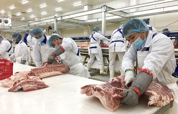 Việt Nam chi gần 1,6 tỷ USD nhập khẩu thịt và phụ phẩm