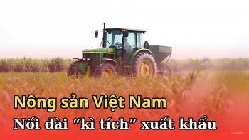 Nông nghiệp Việt nối dài 