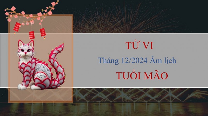 Tử vi tháng 12/2024 của 12 con giáp âm lịch: Ai gặp được nhiều cơ hội phát triển?