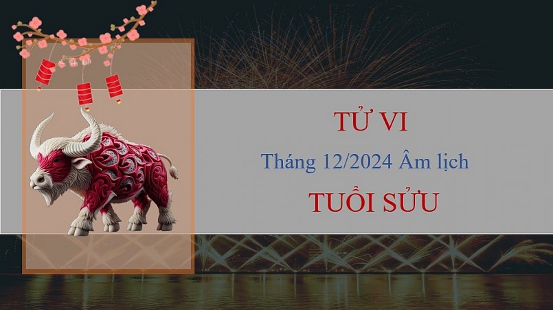 Tử vi tháng 12/2024 của 12 con giáp âm lịch: Ai gặp được nhiều cơ hội phát triển?