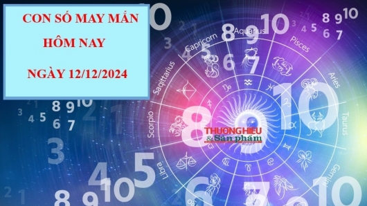 Con số may mắn hôm nay 13/12/2024 theo 12 con giáp: Chọn số đổi vận phát tài