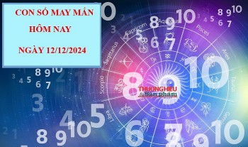 Con số may mắn hôm nay 13/12/2024 theo 12 con giáp: Chọn số đổi vận phát tài