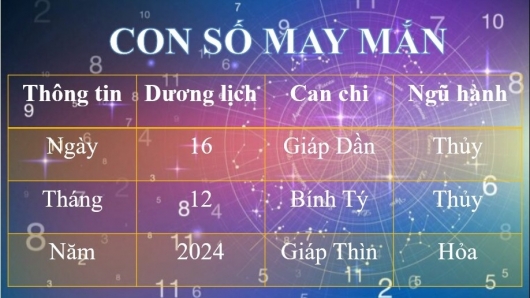 Con số may mắn hôm nay 16/12/2024 theo 12 con giáp: Chọn số vượng tài, đón tiền về túi