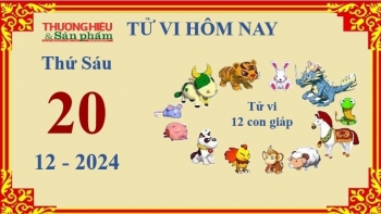 Xem chi tiết tử vi hôm nay Thứ Sáu ngày 20/12/2024: Dậu thất vọng, Tý có tiền