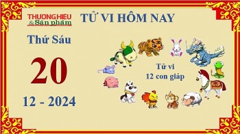 Xem chi tiết tử vi hôm nay Thứ Sáu ngày 20/12/2024: Dậu thất vọng, Tý có tiền