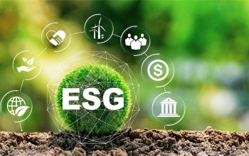 Thực hành ESG trong doanh nghiệp để phát triển thương hiệu là cần thiết