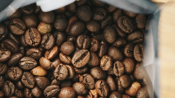 Robusta tiến gần mức đỉnh lịch sử do lo ngại về nguồn cung kéo dài