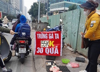 Tại sao xuất khẩu trứng gà sang Mỹ “không khả thi”?