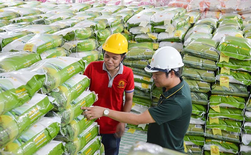 Xuất khẩu gạo Việt Nam sang thị trường châu Âu.