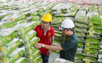 Thủ tướng chỉ đạo mở rộng, đa dạng hóa thị trường xuất khẩu, gia tăng thị phần hàng hoá