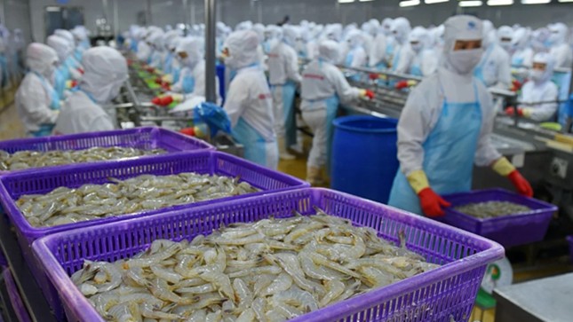 Xuất khẩu thủy sản bứt phá trong quý I/2025, đạt 2,45 tỷ USD