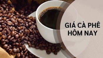 Giá cà phê tiếp tục tăng trong bối cảnh đồng USD suy yếu