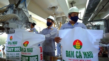Lợi nhuận quý I của Phân bón Cà Mau vượt mong đợi
