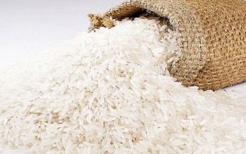 Khách hàng truyền thống tăng nhập, giá gạo Việt lại đứng đầu thế giới