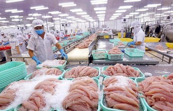 Việt Nam vươn lên Top 4 đối tác xuất khẩu thủy sản lớn nhất vào Singapore