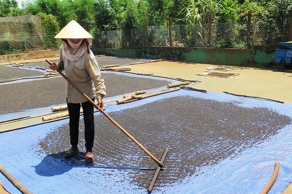 Thị trường hồ tiêu được dự báo sôi động sau nghỉ lễ