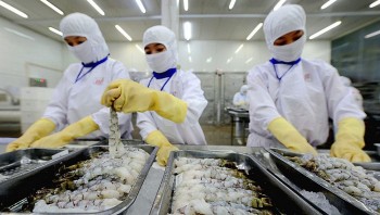 Tận dụng “90 ngày vàng”, doanh nghiệp Việt tăng tốc xuất khẩu sang Mỹ