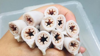 TP HCM thanh tra 