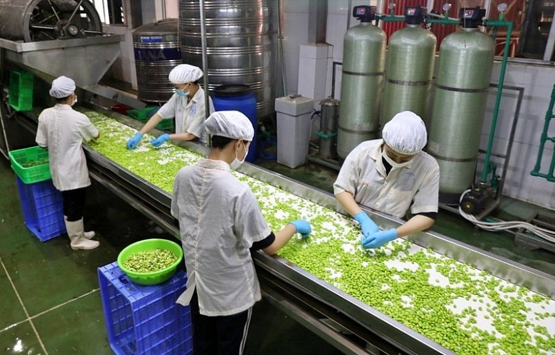 Nông sản bứt phá, trụ cột mới thúc đẩy tăng trưởng xuất khẩu đầu năm 2025