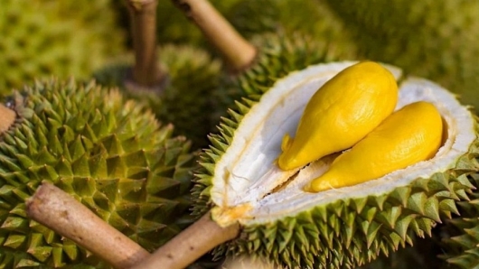 Tháo gỡ nút thắt cho sầu riêng xuất khẩu: Không thể chậm trễ