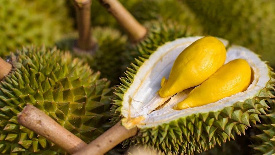 Những tháng đầu năm nay ghi nhận xuất khẩu sầu riêng sang Trung Quốc sụt giảm nghiêm trọng.