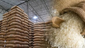 Gạo Việt tăng giá nhẹ giữa biến động thị trường toàn cầu